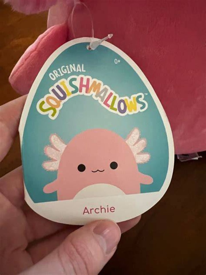 12” Archie Squishmallow munimoro.gob.pe