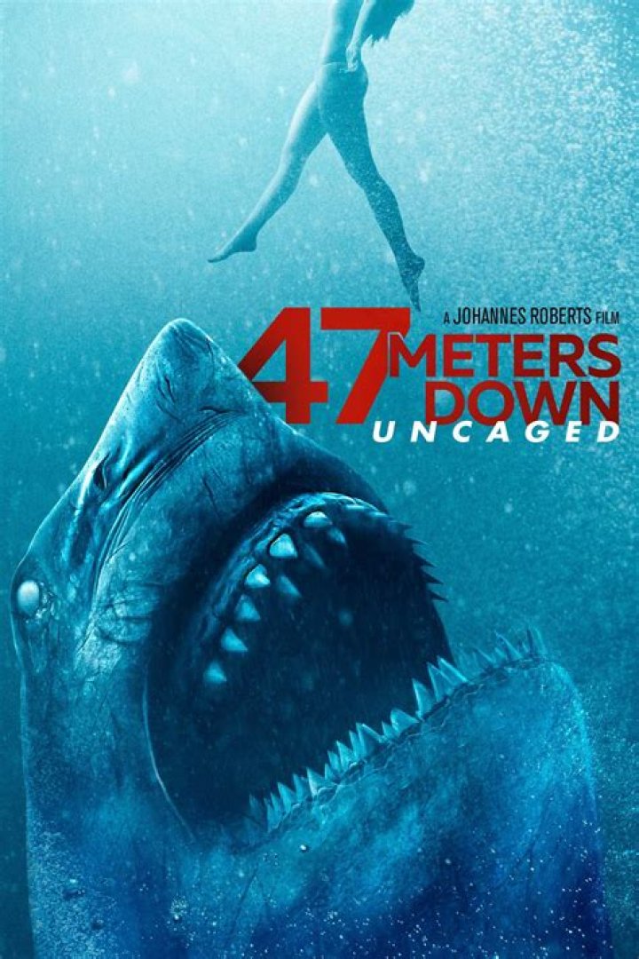 47 Meters Down Uncaged (2019) Review This sequel doesn't have cages