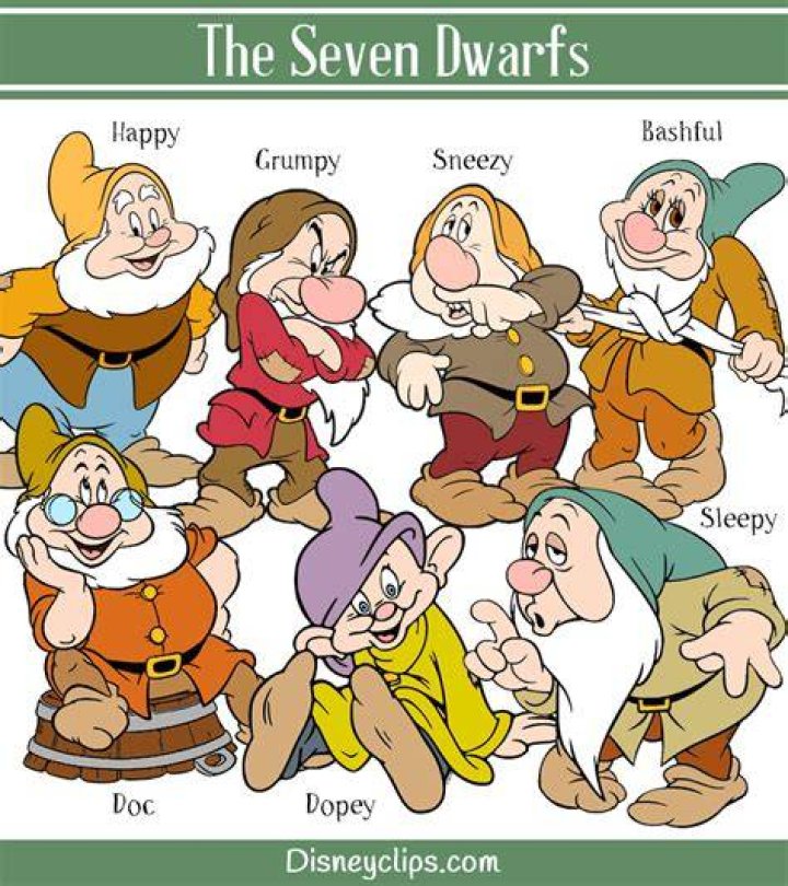7 Dwarfs Characters Personality