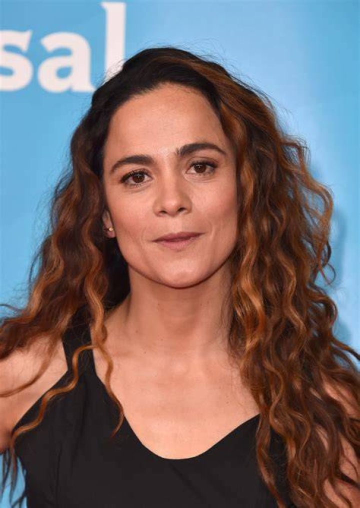 Alice Braga Net Worth