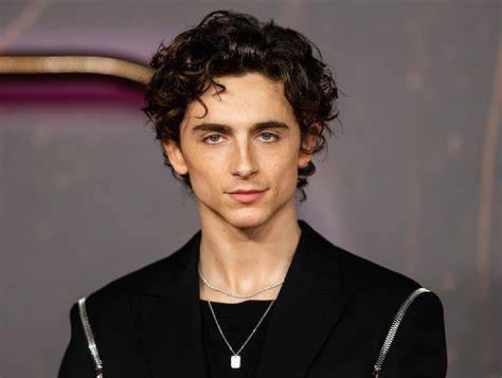 All About Timothée Chalamet's Parents, Marc Chalamet and Nicole Flender