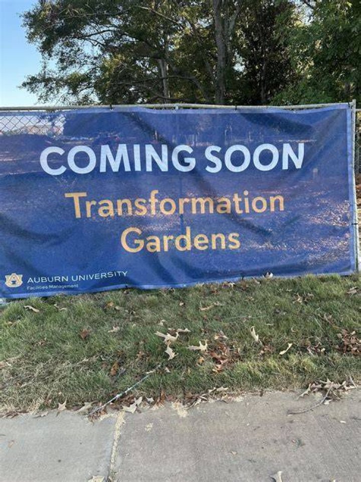 Auburn Wyatts: The Transformation