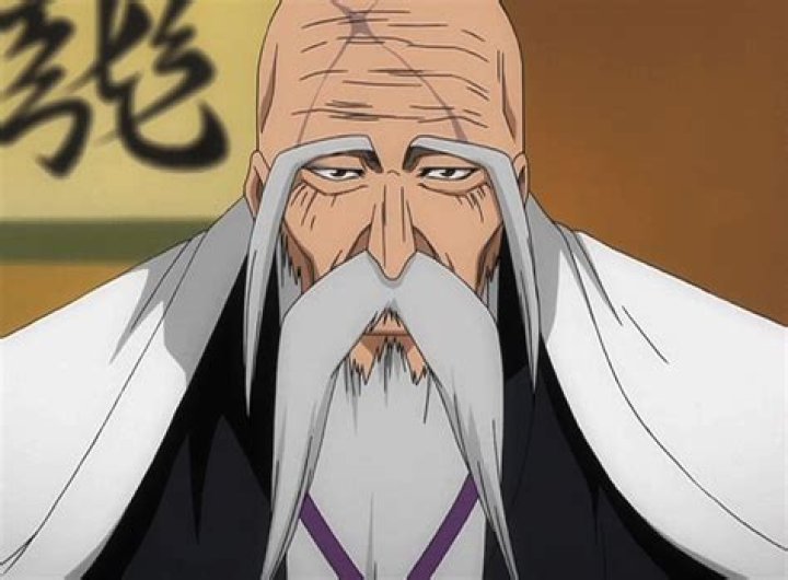 Bald Anime Characters With Beards Bald famous character with beard