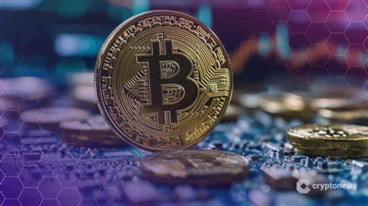 Bitcoin’s Investor Base and Institutional Adoption Is Continuing To