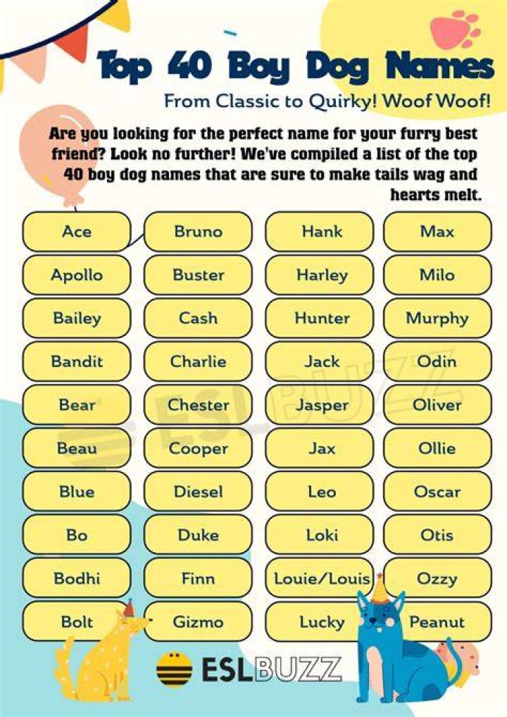Boy Dog Names Inspired By Pixar Movies: A Comprehensive Guide