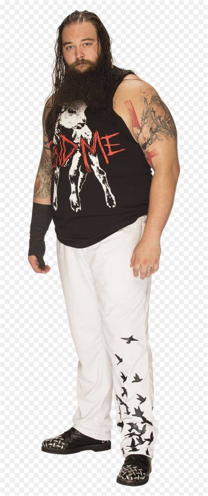 Bray Wyatt 2016 PNG by AmbriegnsAsylum16 on DeviantArt