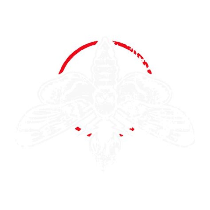 Bray Wyatt New White Rabit Logo PNG 2022 by RahulTR on DeviantArt