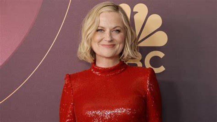 Breaking News: Amy Poehler Expecting!