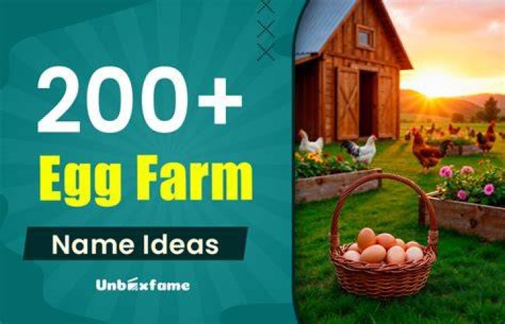 Catchy Egg Farm Names