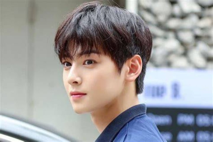 Cha Eun Woo's Engagement: Unveiling The Love Story And Future Plans