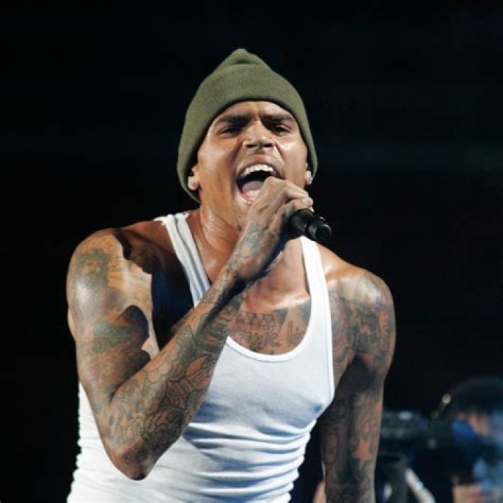 Chris Brown Brutally Clap Back At Fan Comment About His Baby Mothers