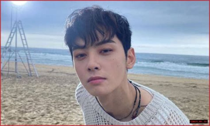 Create Stunning Deepfake Videos Of Cha Eun Woo: An In-Depth Guide