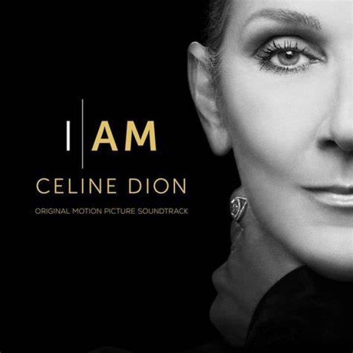 Céline Dion / CELINE DION at Royal Monceau Hotel in Paris 07/21/2017