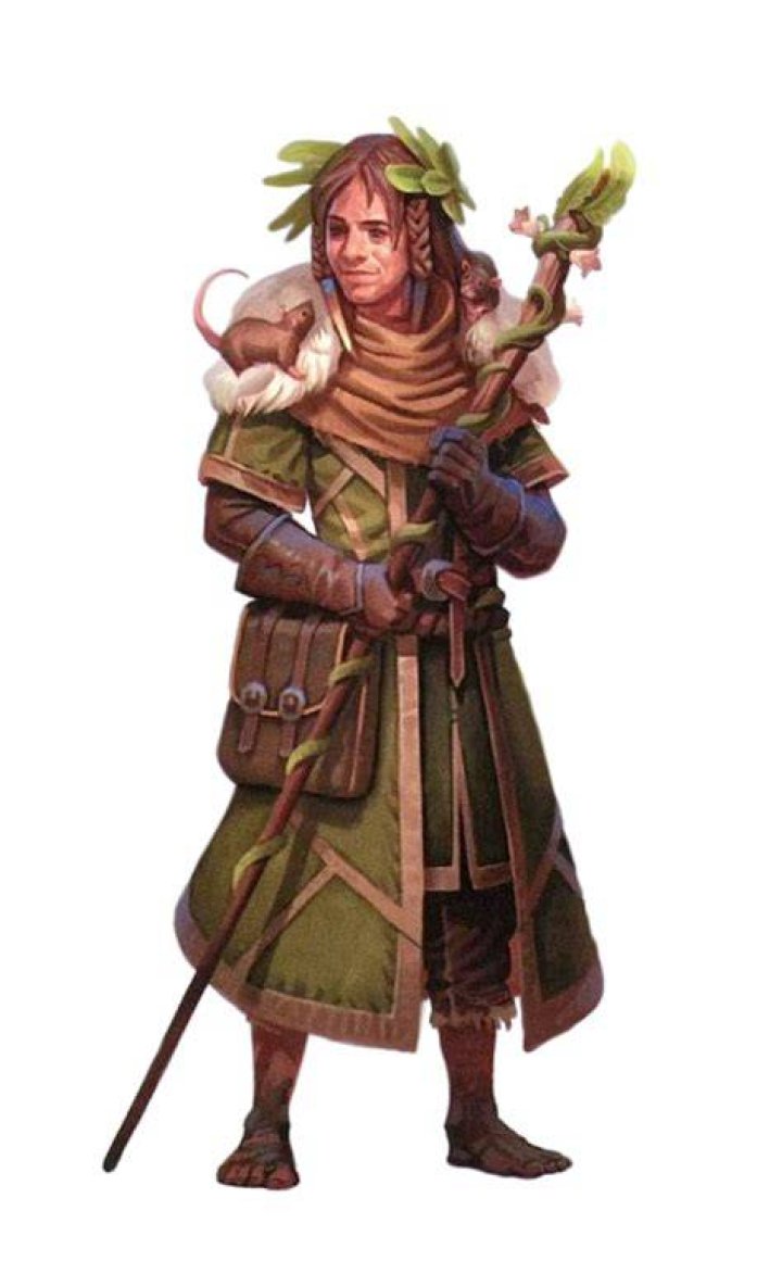 D&D 5e Druid Class Guide Sage Gamers