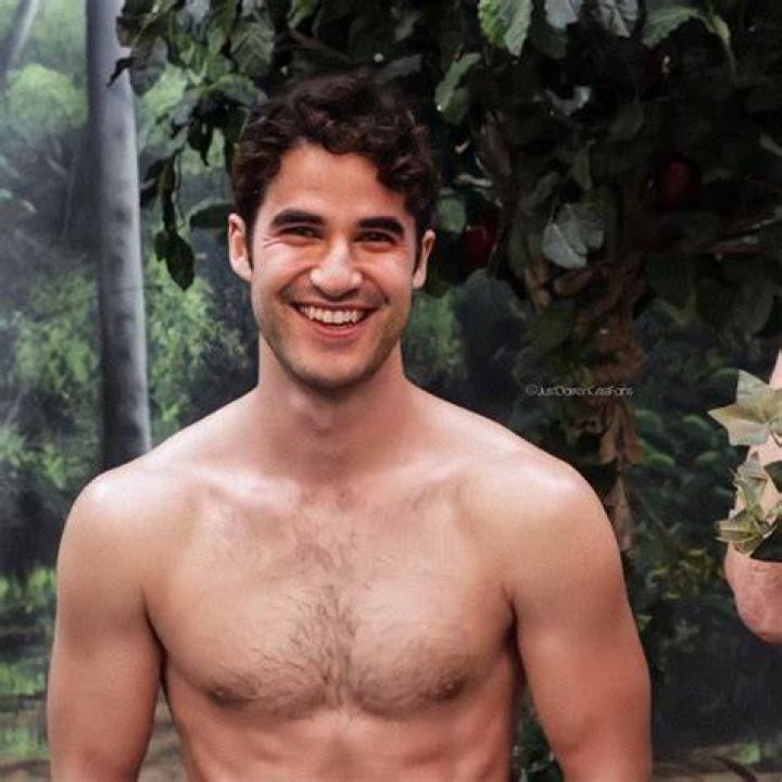 Darren Darren Criss Photo (21315406) Fanpop