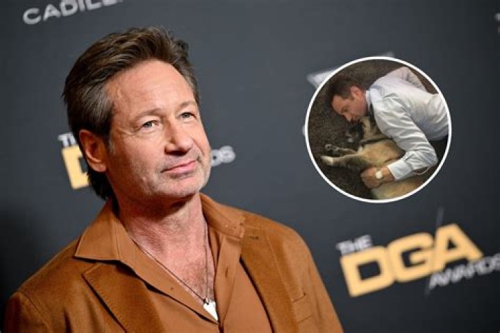 David Duchovny's Official Height