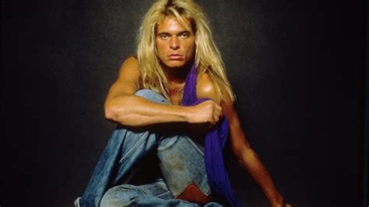 David Lee Roth discography Return of Rock