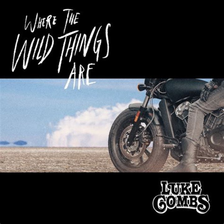 Discover The Meaning Behind Luke Combs' "Wild Things"