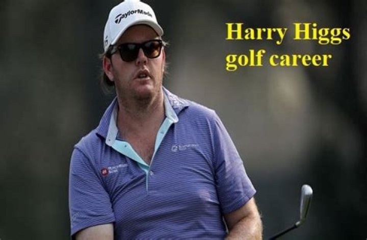 Discover The Staggering Net Worth Of Harry Higgs