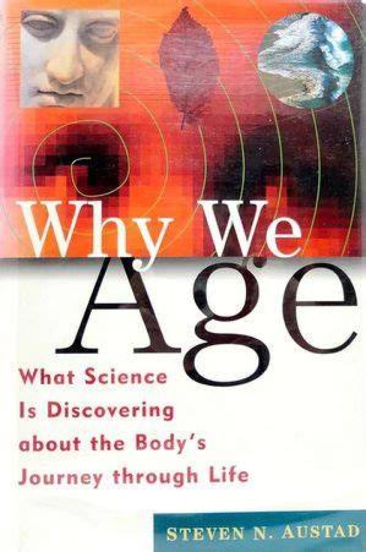Discovering Ellen Fisher's Age And Journey Through Life