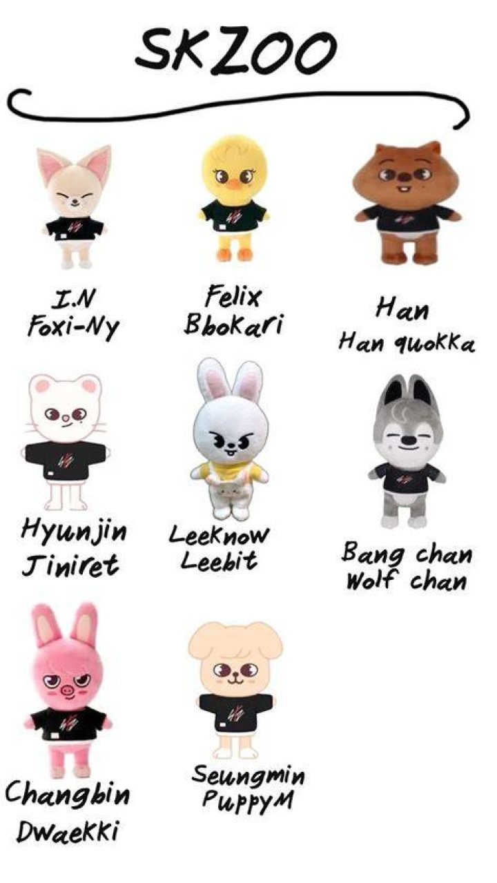 Essential Guide To Stray Kids' SKZOO Characters' Names