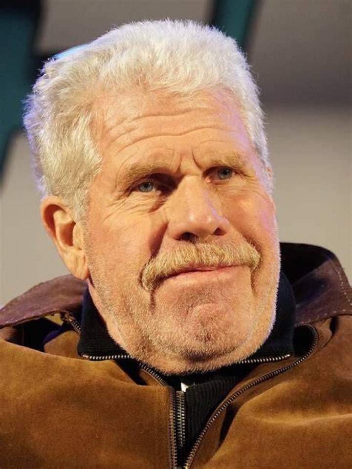 Exploring The Connection Between Ron Perlman And Israel