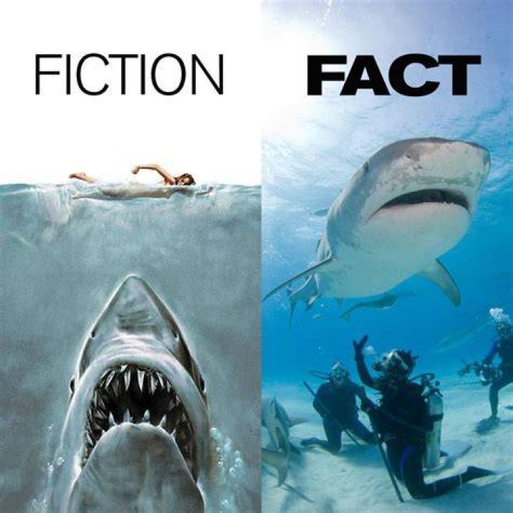 Fact vs. Fiction Paul Walker’s Daughter