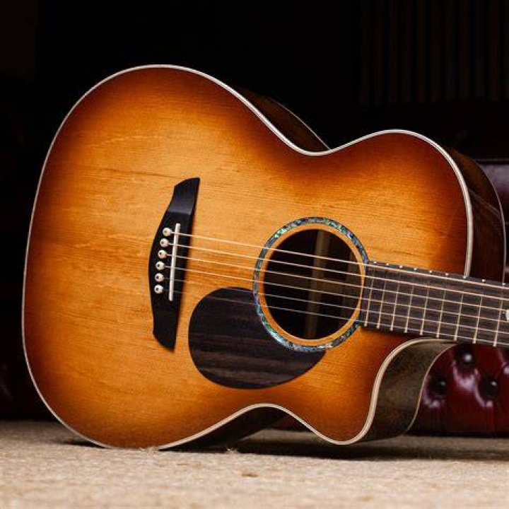Faith Guitars ® Official