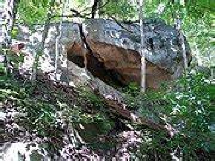 FileDawn swifts creek02.jpg Wikimedia Commons