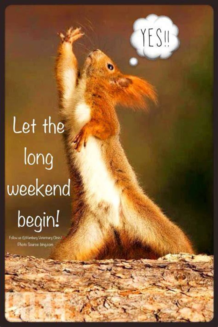 Funny & Happy Weekend Memes Quotes With Funny Weekend Images