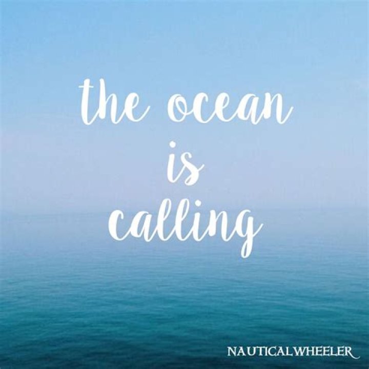 Funny Ocean Quotes ShortQuotes.cc