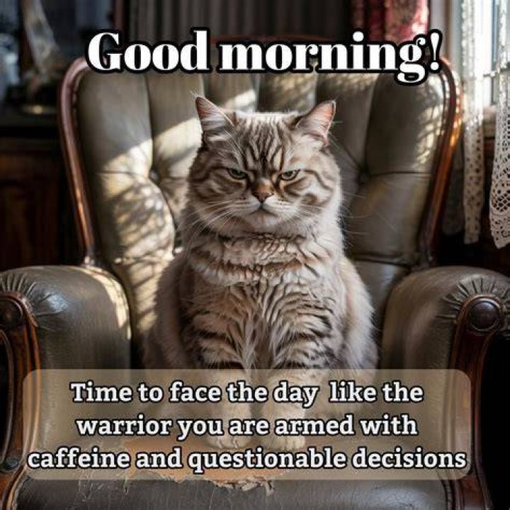 Funny Sarcastic Good Morning Quotes ShortQuotes.cc