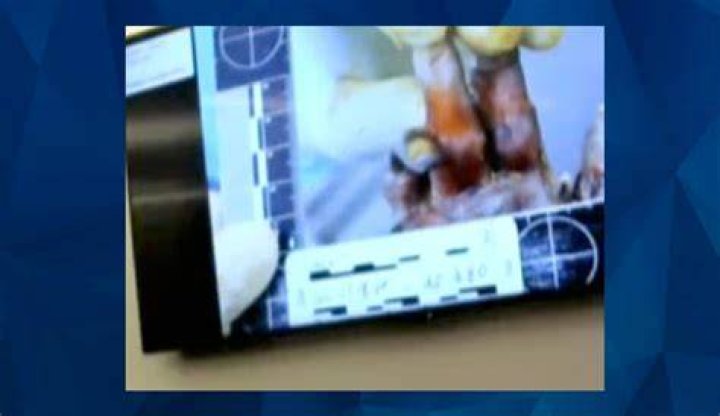 Gannon Stauch Autopsy Photos Leak: Unraveling A Disturbing Case