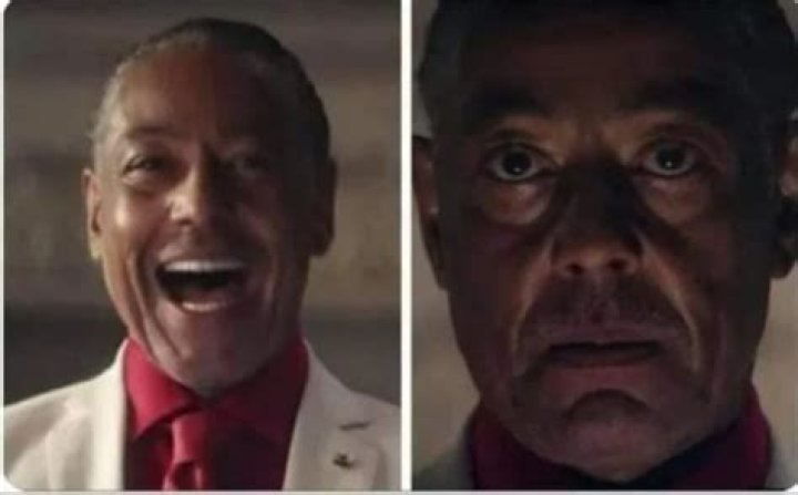 Giancarlo Esposito Meme Template