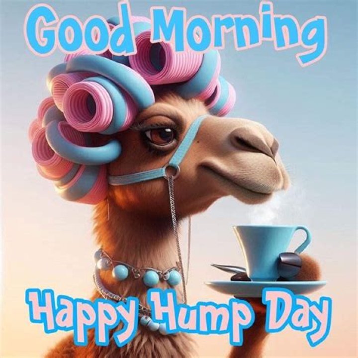 Good Morning Hump Day Funny