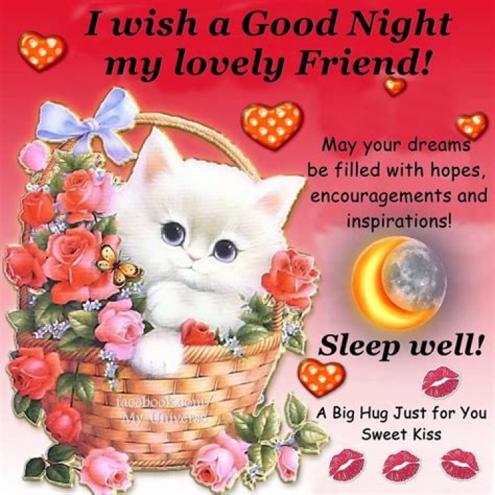 Goodnight my Sweet Friends &hearts;️ Sending Love and Hugs and Prayers &hearts;️