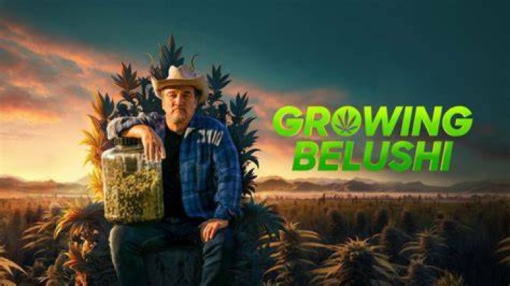 ‘Growing Belushi,’ TV series about Jim Belushi’s Oregon cannabis farm