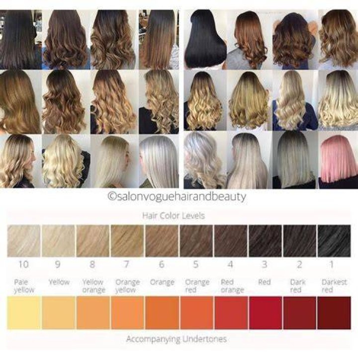 HAIR COLOR CHART
