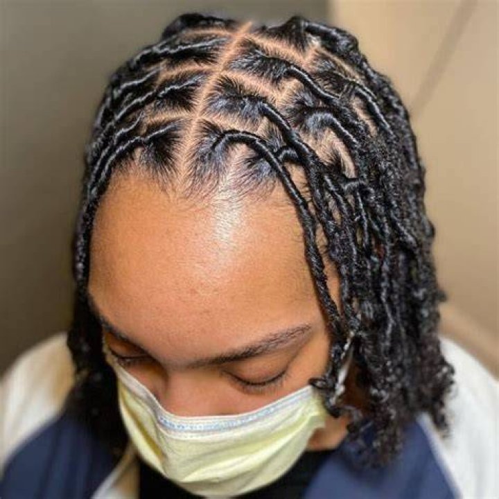Hair Styles For Starter Locs