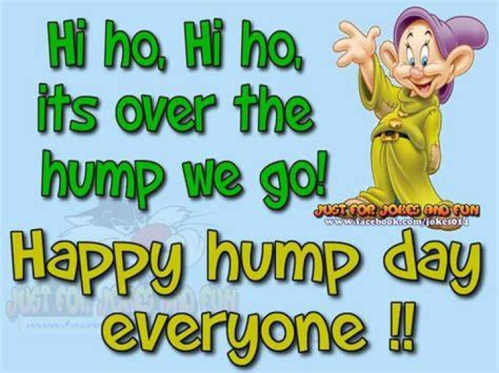 Happy Hump Day Everyone Pictures, Photos, and Images for Facebook
