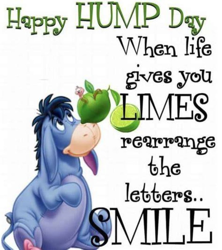 Happy Hump Day Quotes Images