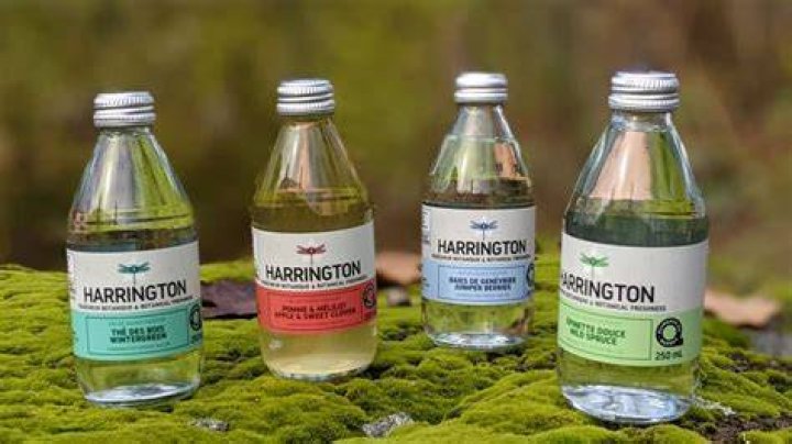 Harrington. Des eaux de source pétillantes aux saveurs boréales