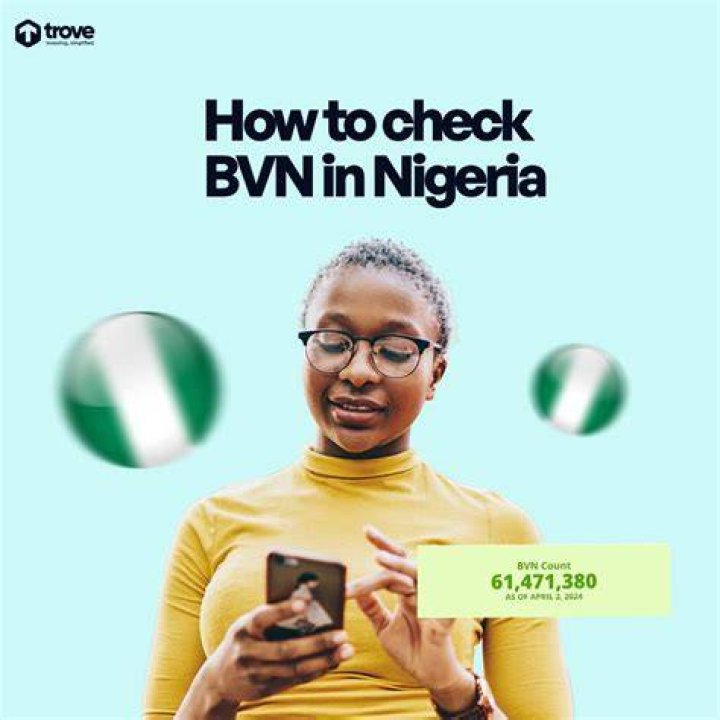 How To Check My BVN Without My Phone Number (December 2023)