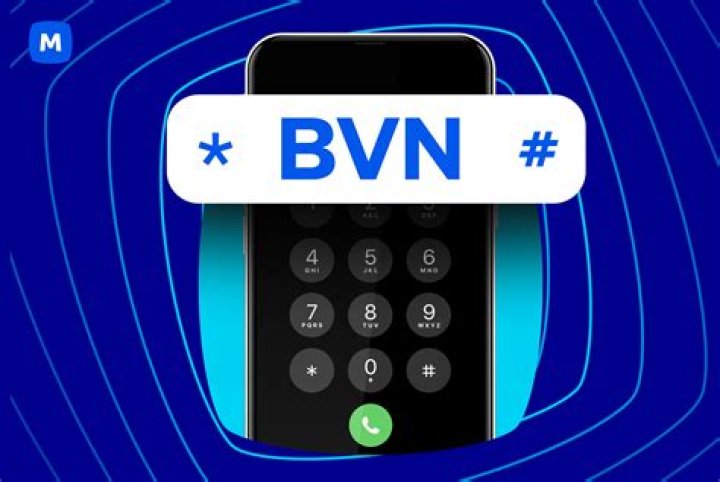 How To Check Your BVN Steps To Follow