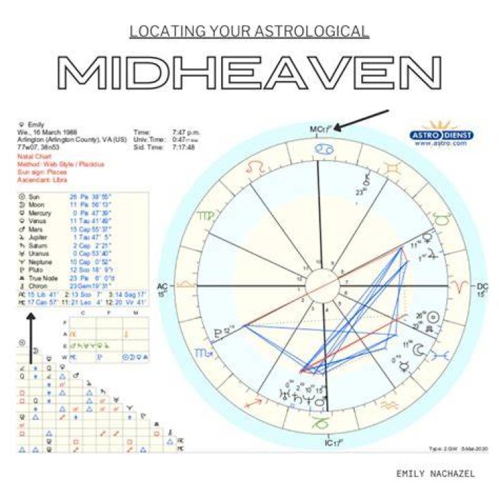 How Your Midheaven Sign Affects Your Career — The Zen Succulent