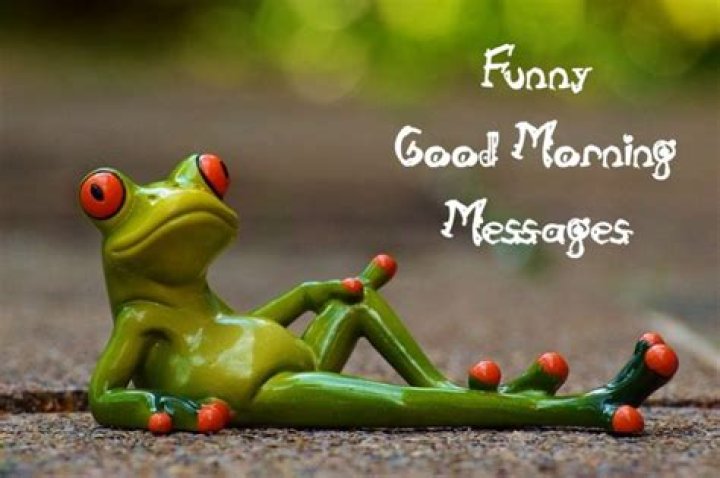 Humor Funniest Good Morning Messages
