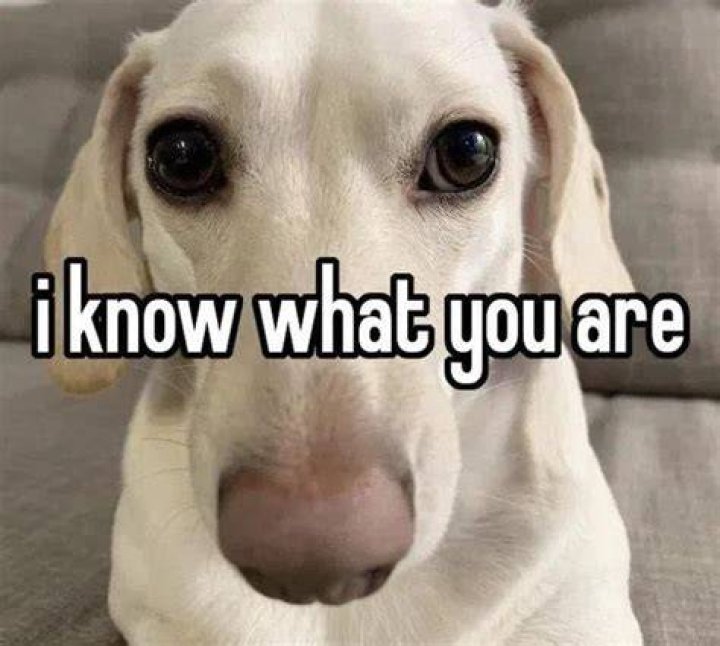 I know you're curious to find out your drag name. Well, the wait is