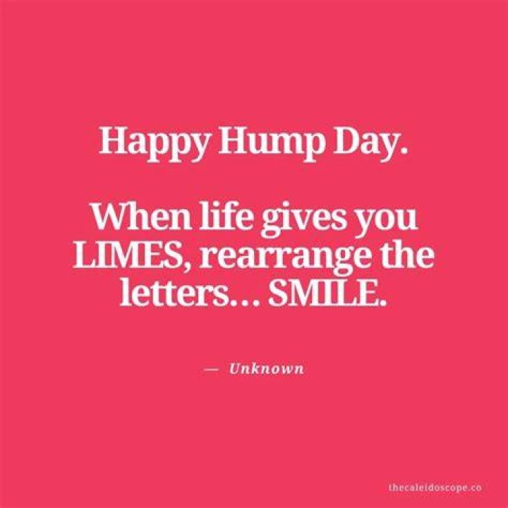 Images Of Hump Day Quotes