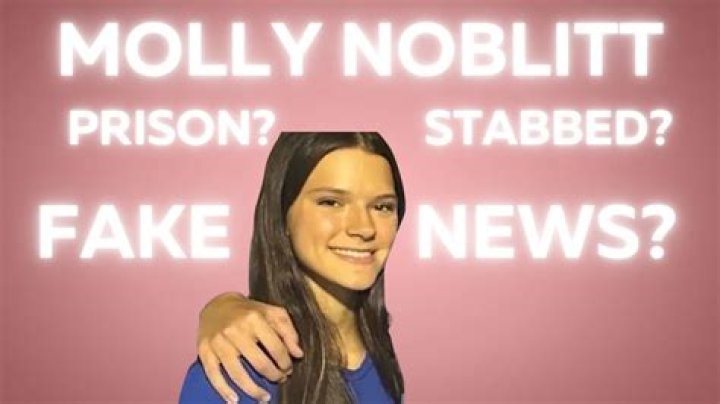 Is Molly Nobblit In "Hail"?: Exploring The Character's Role
