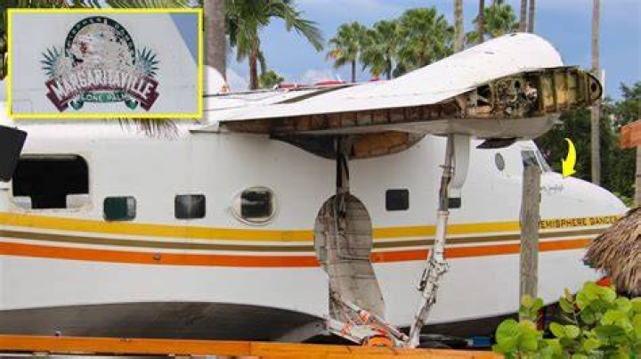 Jimmy Buffett's Miraculous Plane Crash Escape: A Tale Of Survival